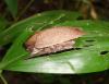 80477 – Photo : X.leen – Thaïlande