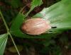 80857 – Photo : X.leen – Thaïlande