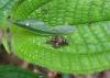 80471 – Photo : X.leen – Thaïlande