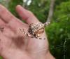 80648 – Photo : X.leen – Thaïlande