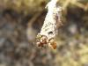 80114 – Photo : Lanzellotti Maria – France (11)