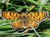 80770 – Photo : Prisca – France (05)