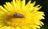 80037 – Photo : Bejac – France (85)