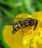 80766 – Photo : Elisabeth A. Harris – Royaume-Uni