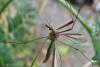 80903 – Photo : Elisabeth A. Harris – Royaume-Uni