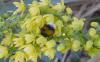 80693 – Photo : Phil – France (31)