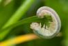 81472 – Photo : Nikolay Vladimirov – Russie