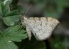 81296 – Photo : Michel Billard – France (05)