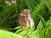 81197 – Photo : X.leen – Thaïlande