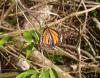 81145 – Photo : X.leen – Thaïlande