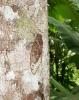 81157 – Photo : X.leen – Thaïlande