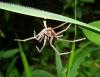 81190 – Photo : X.leen – Thaïlande