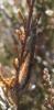 81936 – Photo : clovis – Portugal