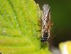 81078 – Photo : patrick derennes – France (94)