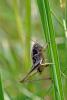 81506 – Photo : Christophe Quintin – France (21)