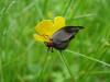 81362 – Photo : Fred More – France (59)