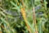 82098 – Photo : Nicolas Alric – France (05)