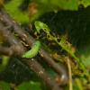82075 – Photo : Pierre Duhem – France (73)