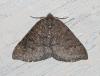 82926 – Photo : Dimitri GEYSTOR – France (47)