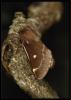 82423 – Photo : Olivier Bouteleux – France (85)