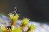 82780 – Photo : Karis Lao – France (87)