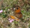 82086 – Photo : clovis – Croatie