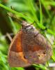 82813 – Photo : Thierry Röthlin – Réunion (La)