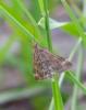 82937 – Photo : Vincent VALLI – France (10)