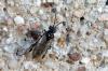 83060 – Photo : Nicolas Alric – France (12)