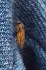 83333 – Photo : Nicolas Alric – France (12)