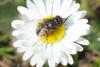 83067 – Photo : Nicolas Alric – France (12)