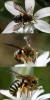 83715 – Photo : Christophe Germain – France (13)