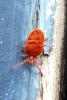 83477 – Photo : Nicolas Alric – France (12)