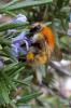 83973 – Photo : Nicolas Alric – France (12)