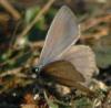 83399 – Photo : Christian Widmann – France (20)