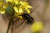 83191 – Photo : Maite Santisteban Rivero – Espagne