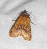 83014 – Photo : Arnaud Jean-Pierre – France (09)