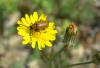 83295 – Photo : OCIS – France (04)