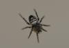 83289 – Photo : Jean-Claude Jamoulle – France (06)