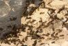 83791 – Photo : Michel Renou – Espagne