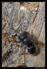 83184 – Photo : Christophe Quintin – France (21)