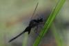 83906 – Photo : Denis Gaschignard – Guyane française