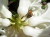 83285 – Photo : Éric Maurice – France (88)
