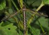 84092 – Photo : Christine DEVILLERS – Belgique