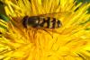 84456 – Photo : Nicolas Alric – France (12)