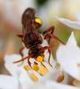 84700 – Photo : Pierre Duhem – France (75)