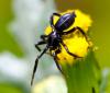 84664 – Photo : Pierre Duhem – France (75)