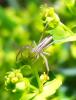 84568 – Photo : Vincent VALLI – France (10)