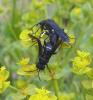 84644 – Photo : Arnaud Jean-Pierre – France (66)