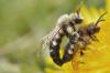 84840 – Photo : congo – Belgique